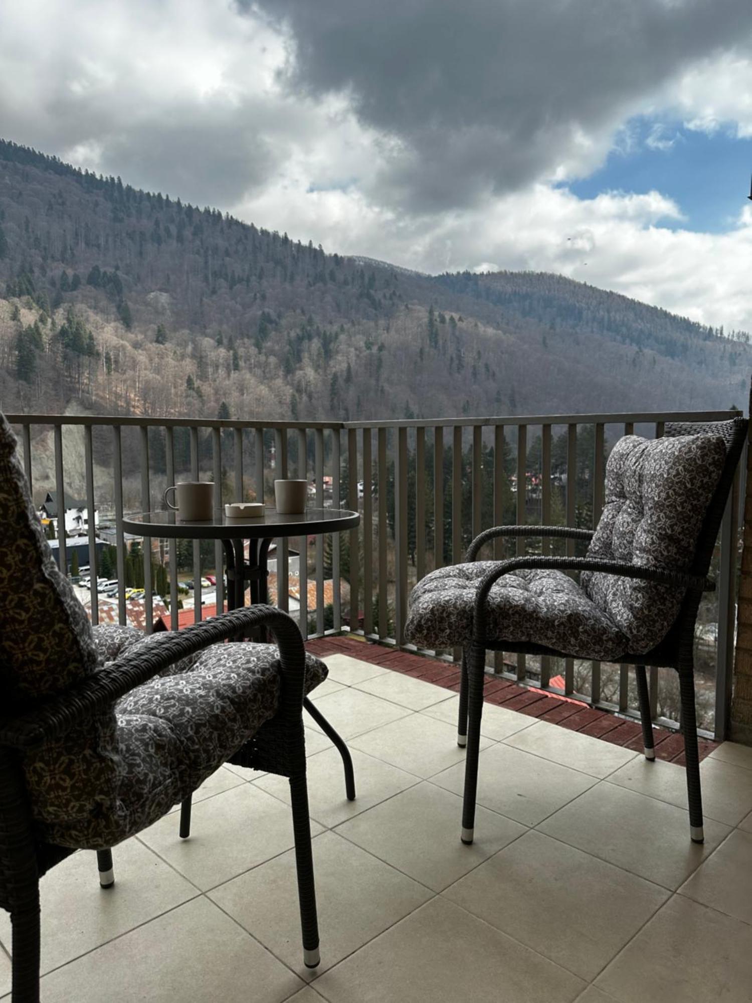 Colette Studio Belleview Sinaia Kültér fotó