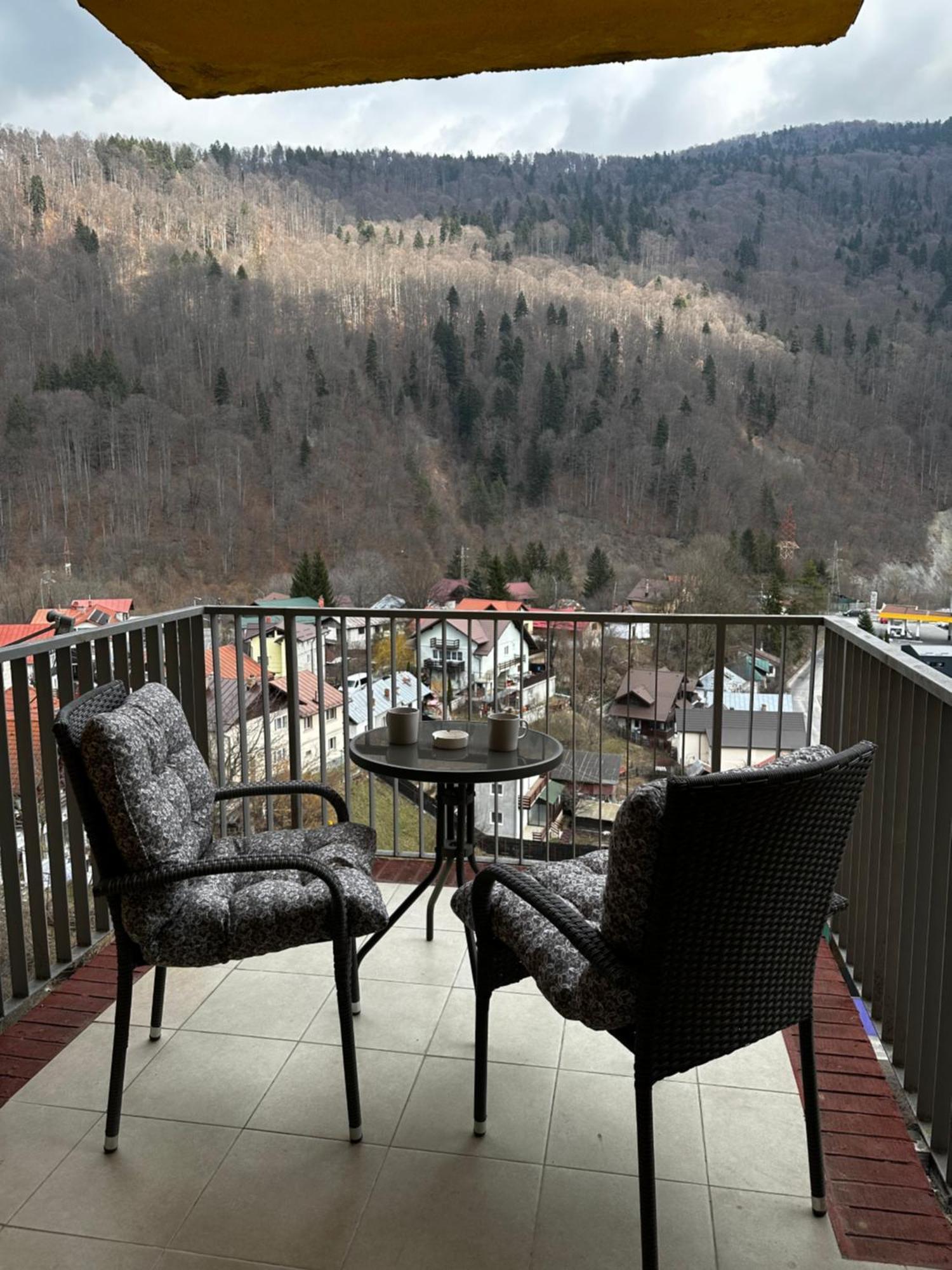 Colette Studio Belleview Sinaia Kültér fotó